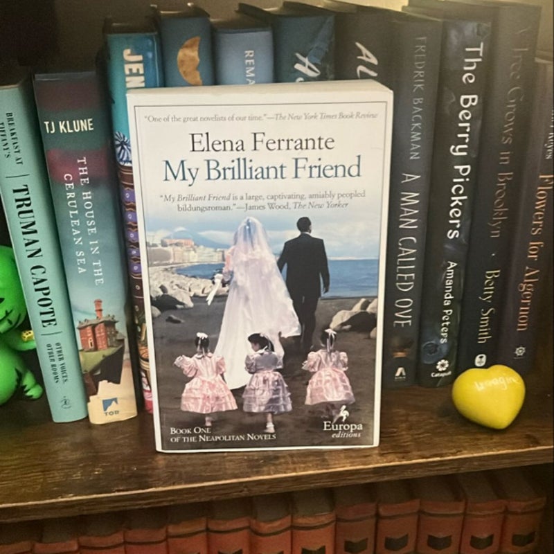 My Brilliant Friend