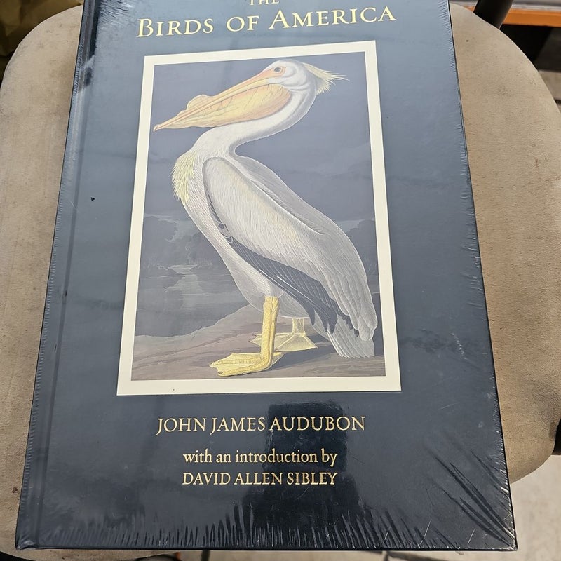 The Birds of America 