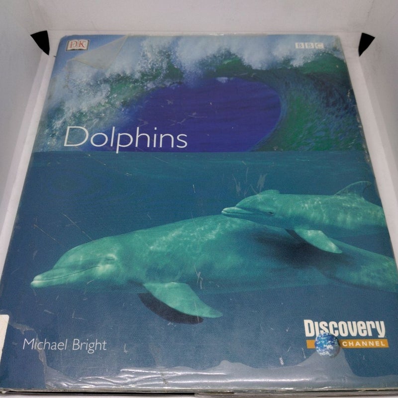 Dolphins