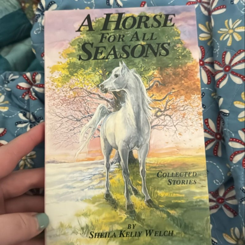 A Horse for All Seasons