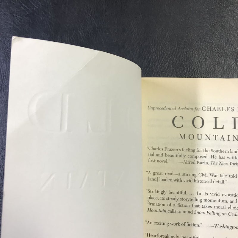 Cold Mountain
