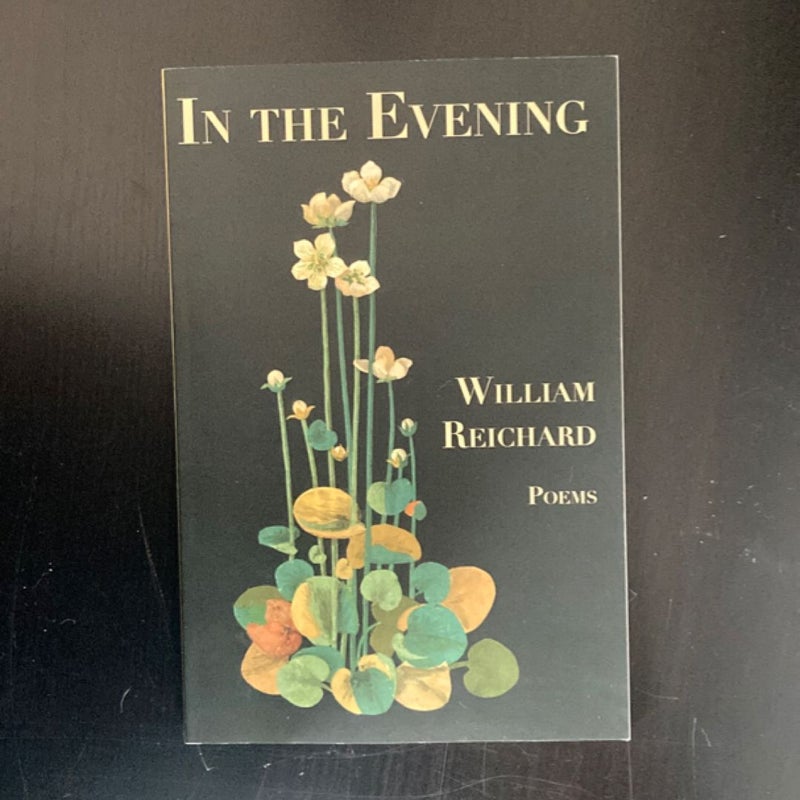 In the Evening