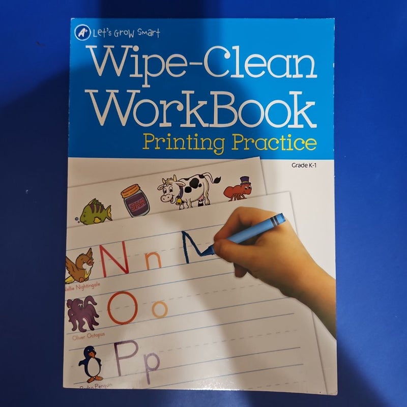 Wipe-Clean Workbook