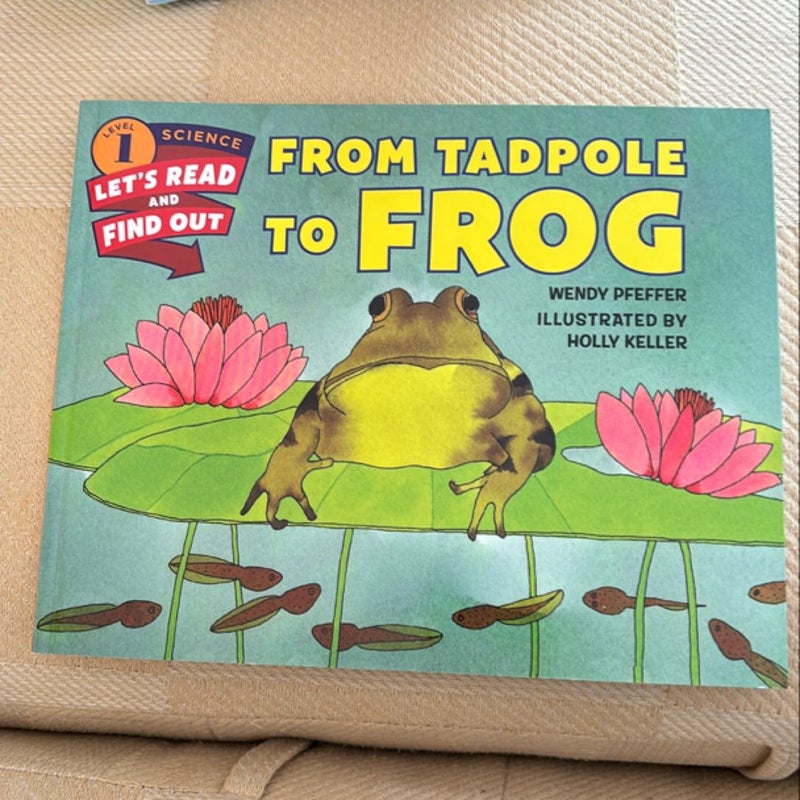 From Tadpole to Frog