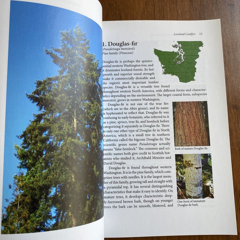 Native Trees of Western Washington