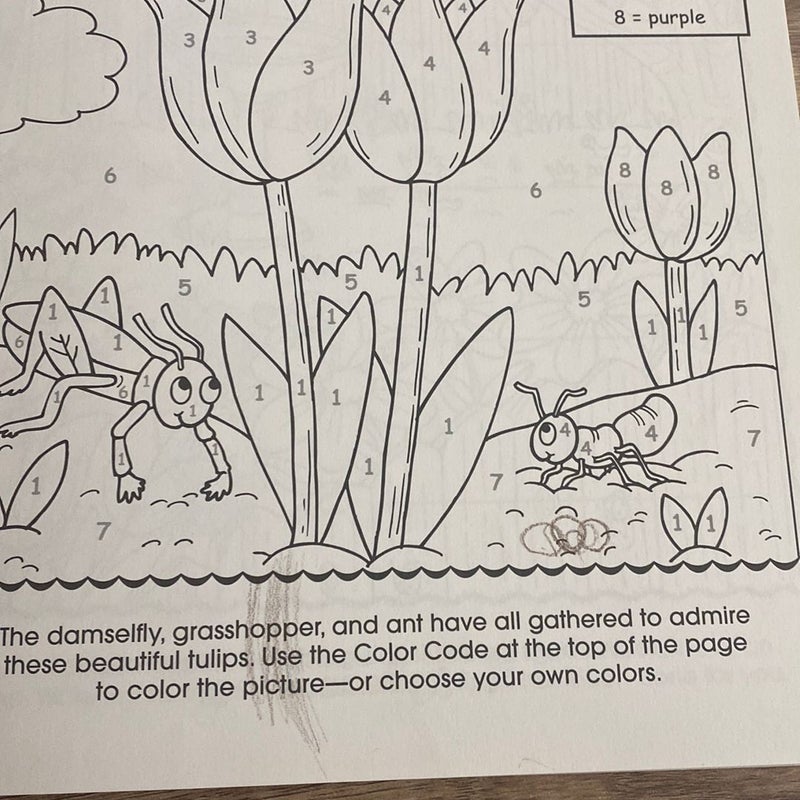 Bugs Activity and Coloring Book
