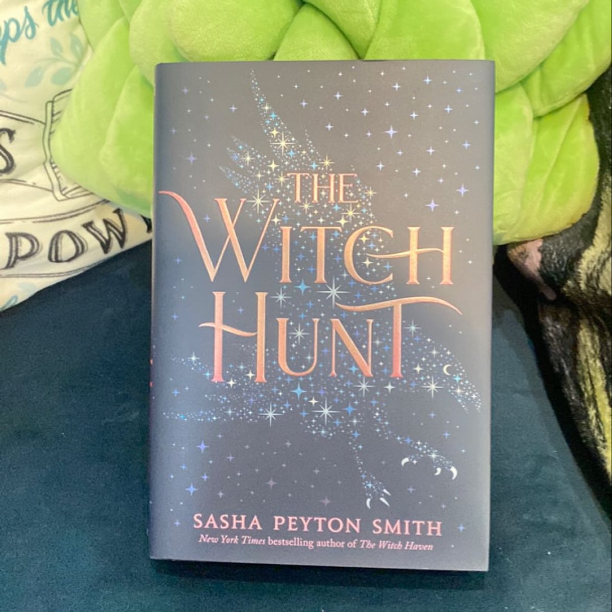 The Witch Hunt by Sasha Peyton Smith, Hardcover | Pangobooks