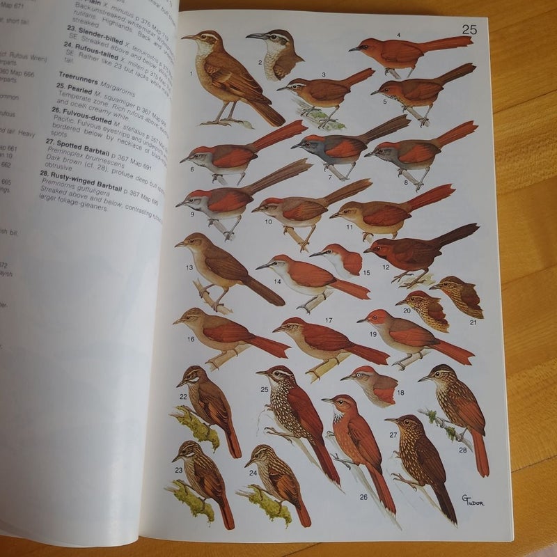 A Guide to the Birds of Colombia