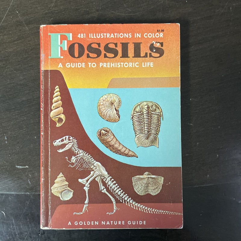 Fossils: A Guide To Prehistoric Life