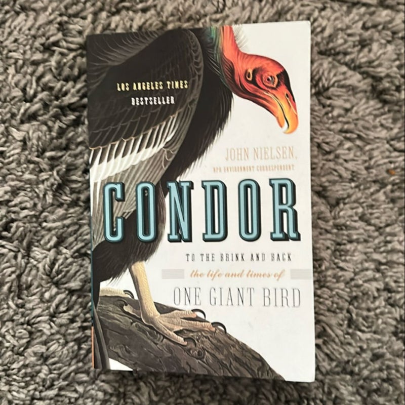 Condor