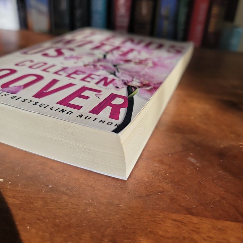 It Ends with Us, Book 1 of 2