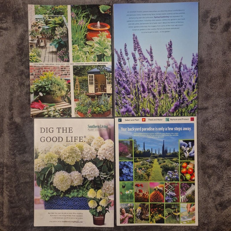 Small-Space Gardening, Container Gardening, Your Comprehensive Guide to Outdoor Plants, Spring Gardening