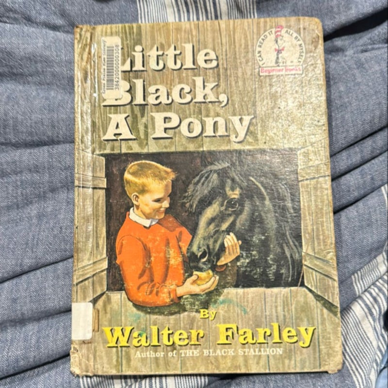 Little Black , A Pony