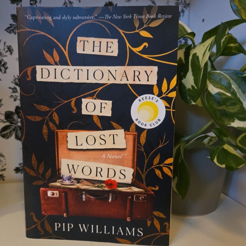 The Dictionary of Lost Words