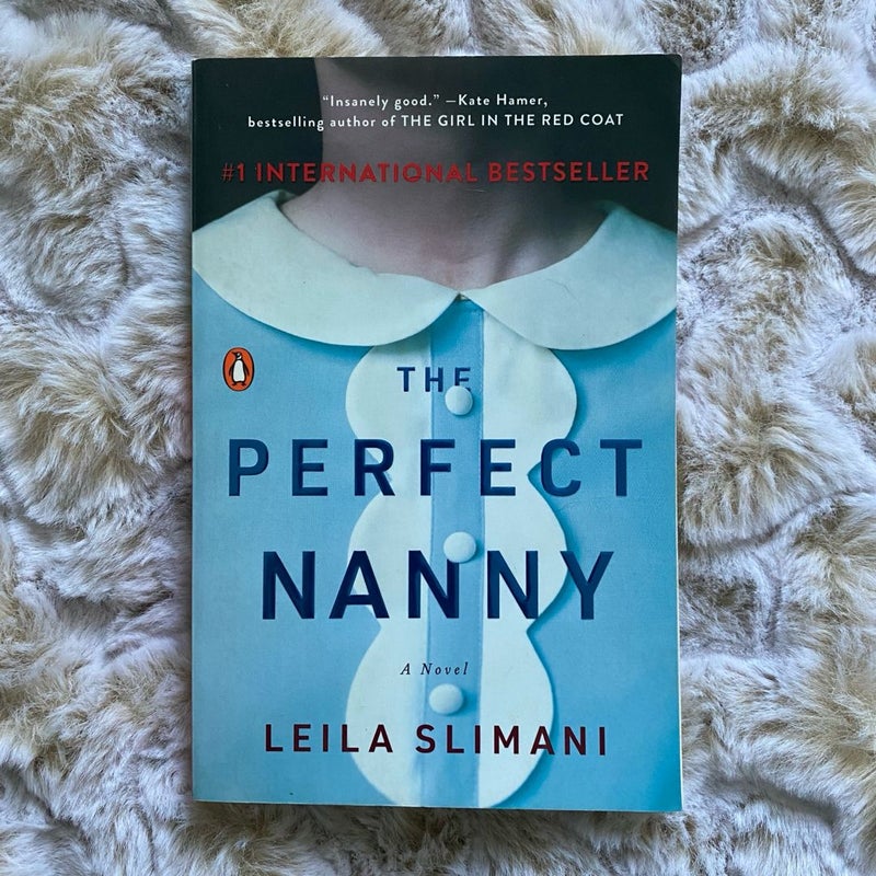 The Perfect Nanny