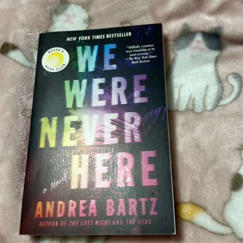 We Were Never Here