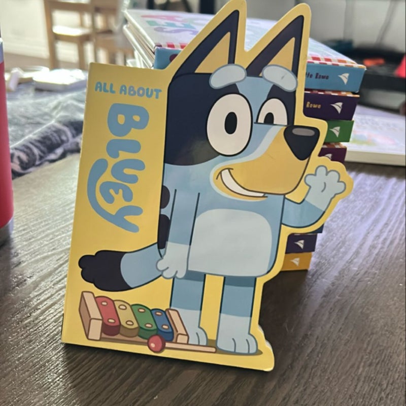 All about Bluey