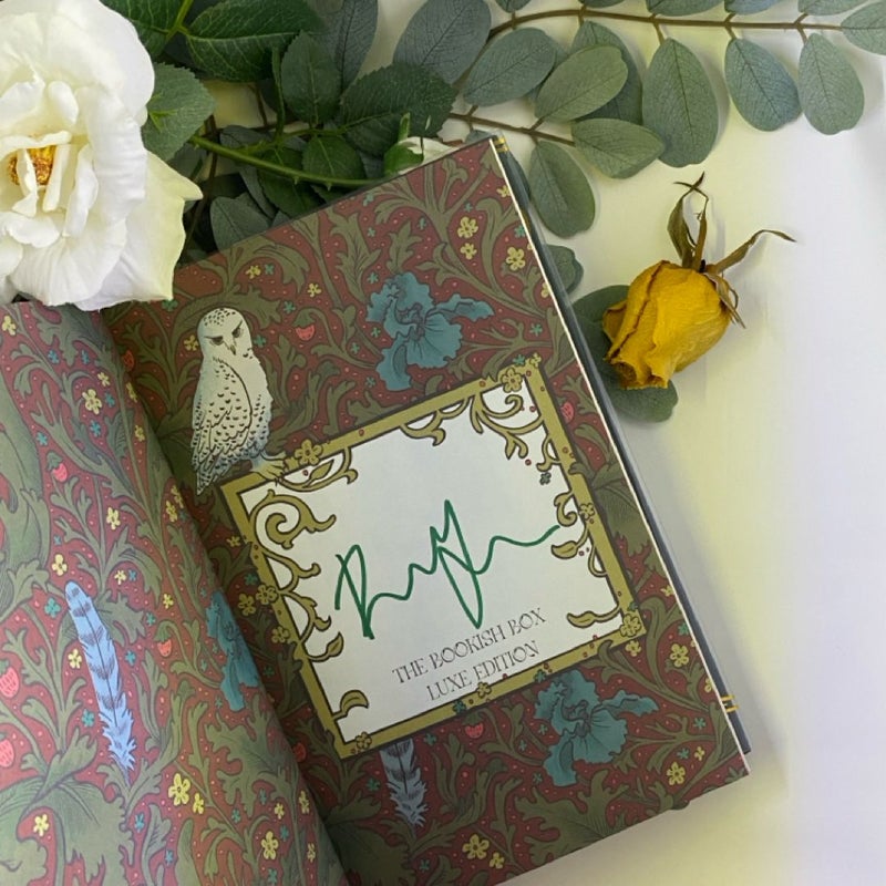 Wild Is the Witch (signed Bookish Box)