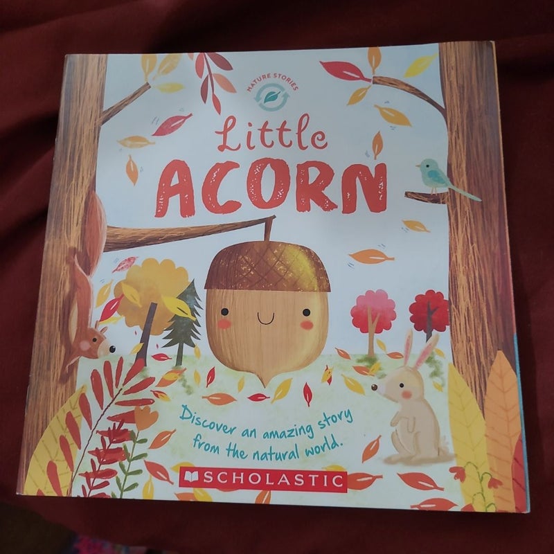Little Acorn