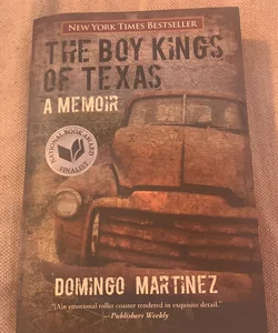 The Boy Kings of Texas