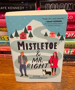 Mistletoe and Mr. Right