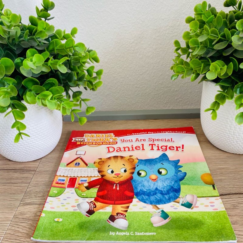 Daniel Tiger You are Special, Daniel Tiger 