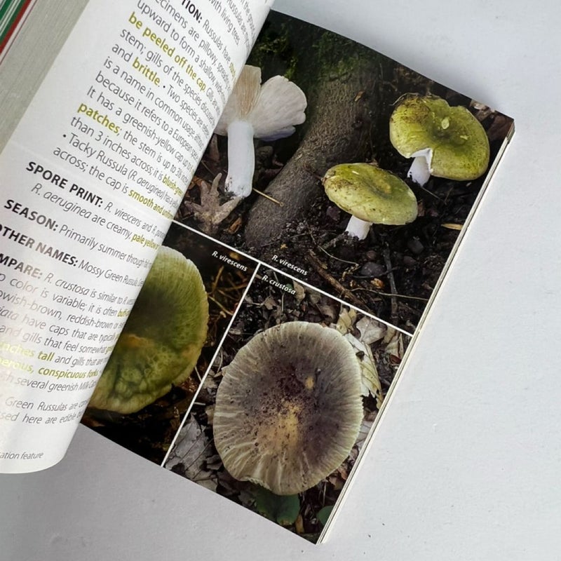 Mushrooms of the Upper Midwest