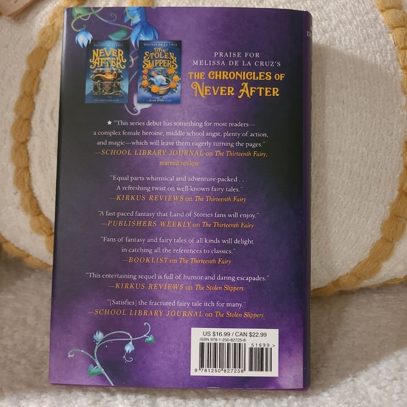 Never after: the Broken Mirror