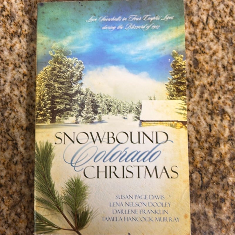 Snowbound Colorado Christmas