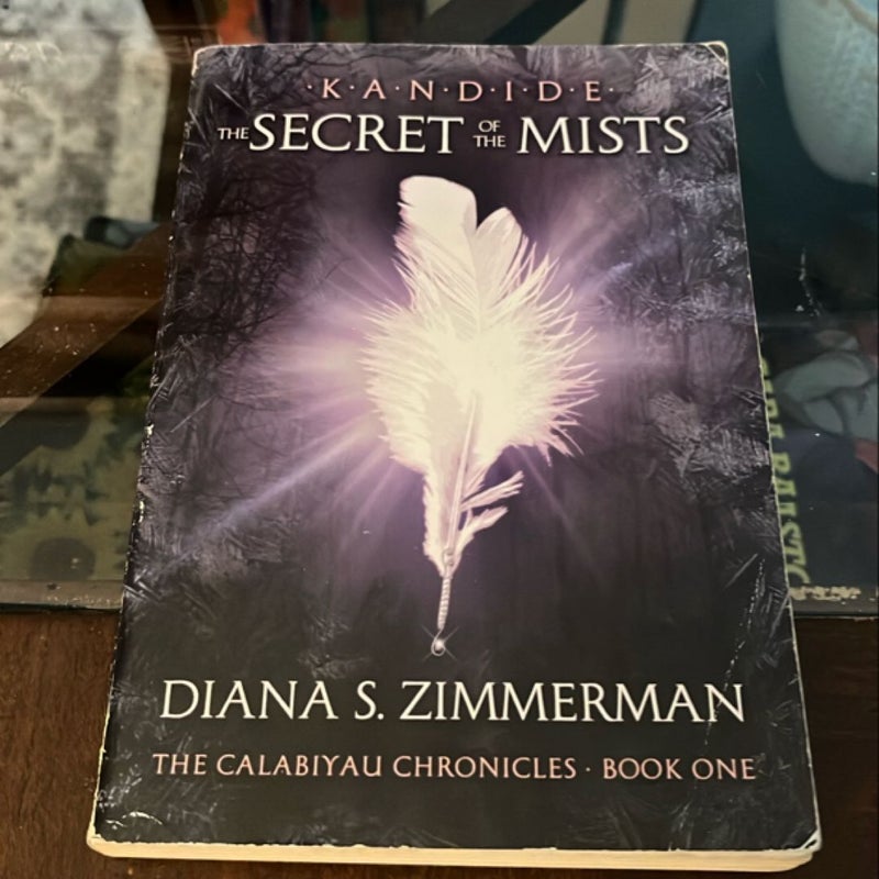 Kandide: the secret of the mists