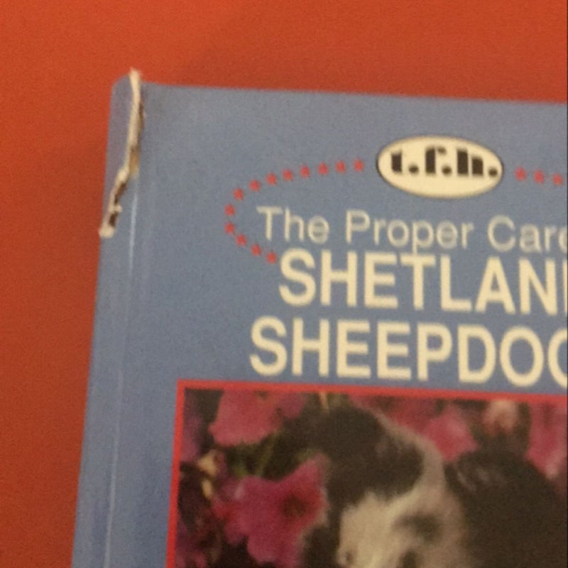 The Proper Care of Shetland Sheepdogs