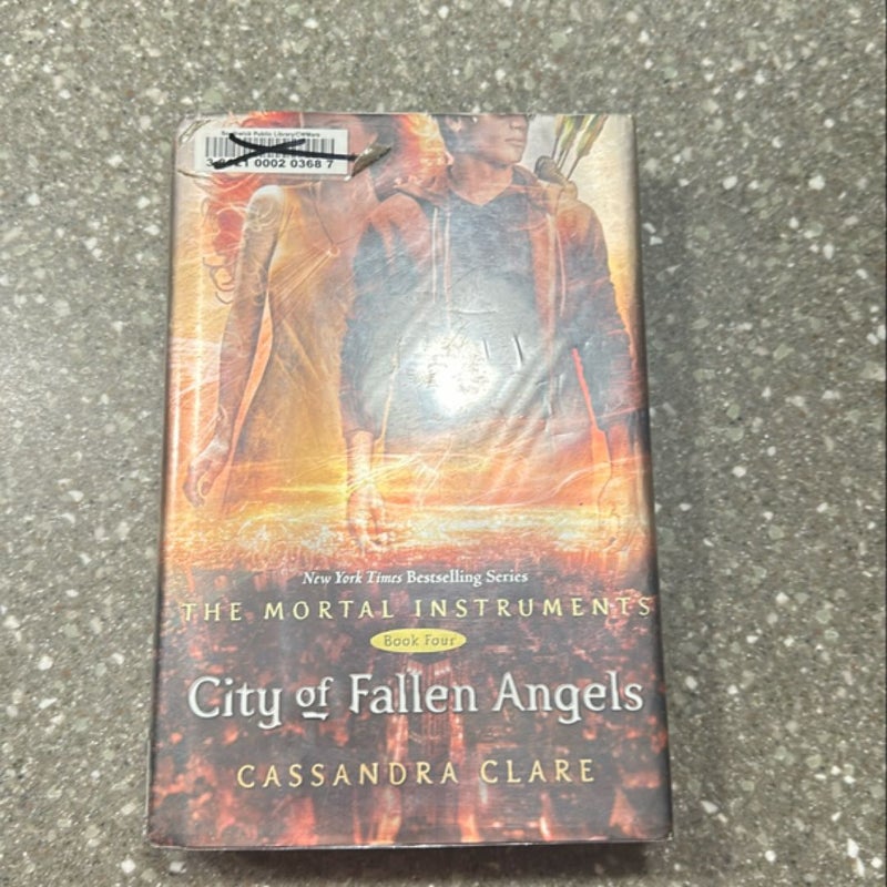 City of Fallen Angels