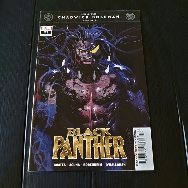 Black Panther #23