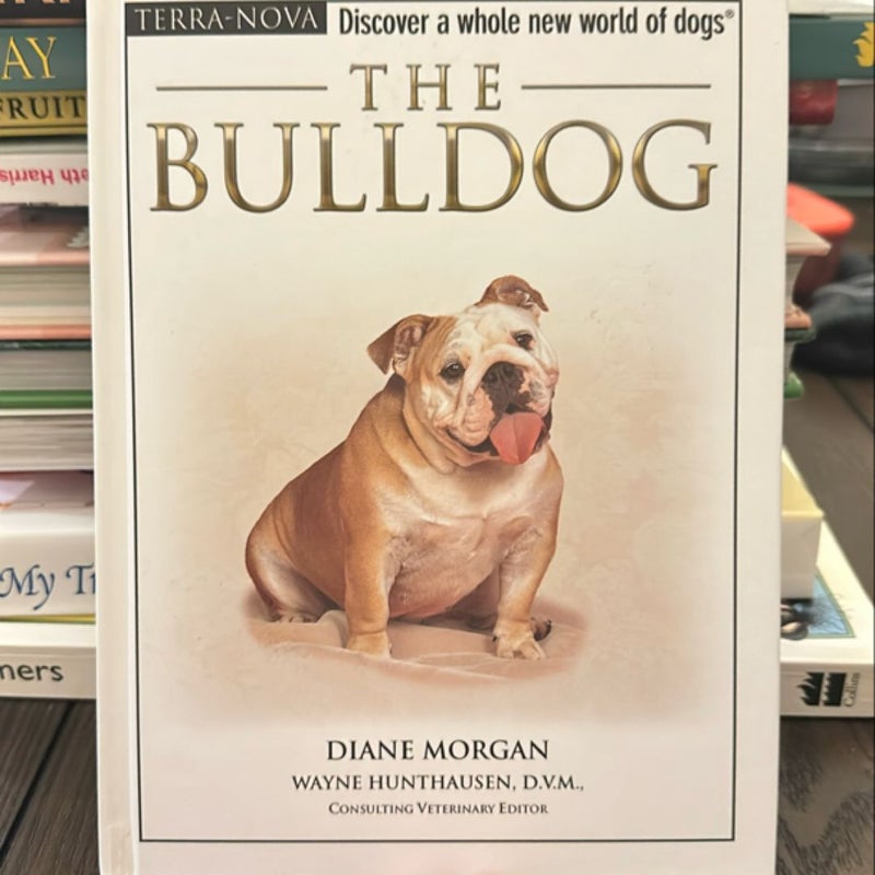 The Bulldog