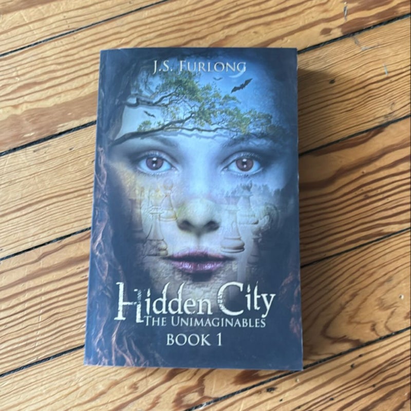 Hidden City