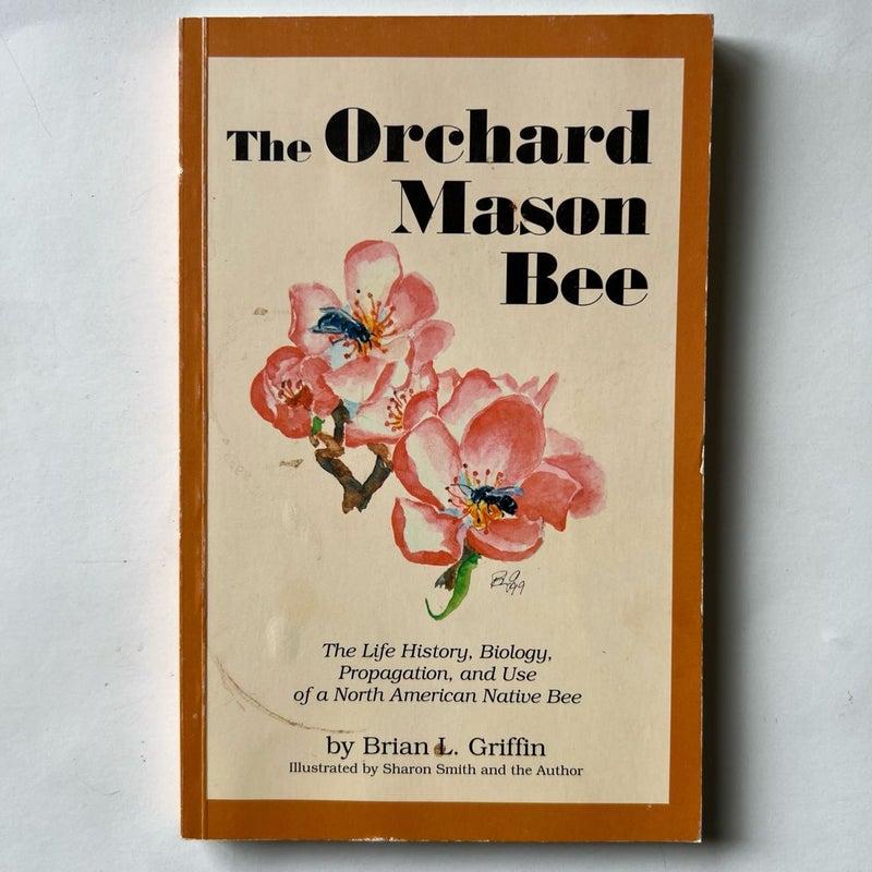 The Orchard Mason Bee