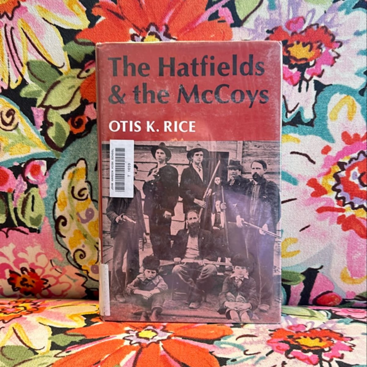 The Hatfields and the McCoys by Otis K. Rice