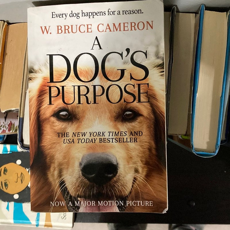 A Dog’s Purpose 