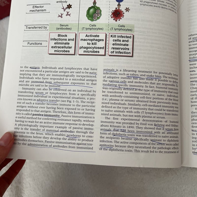 Cellular and Molecular Immunology 