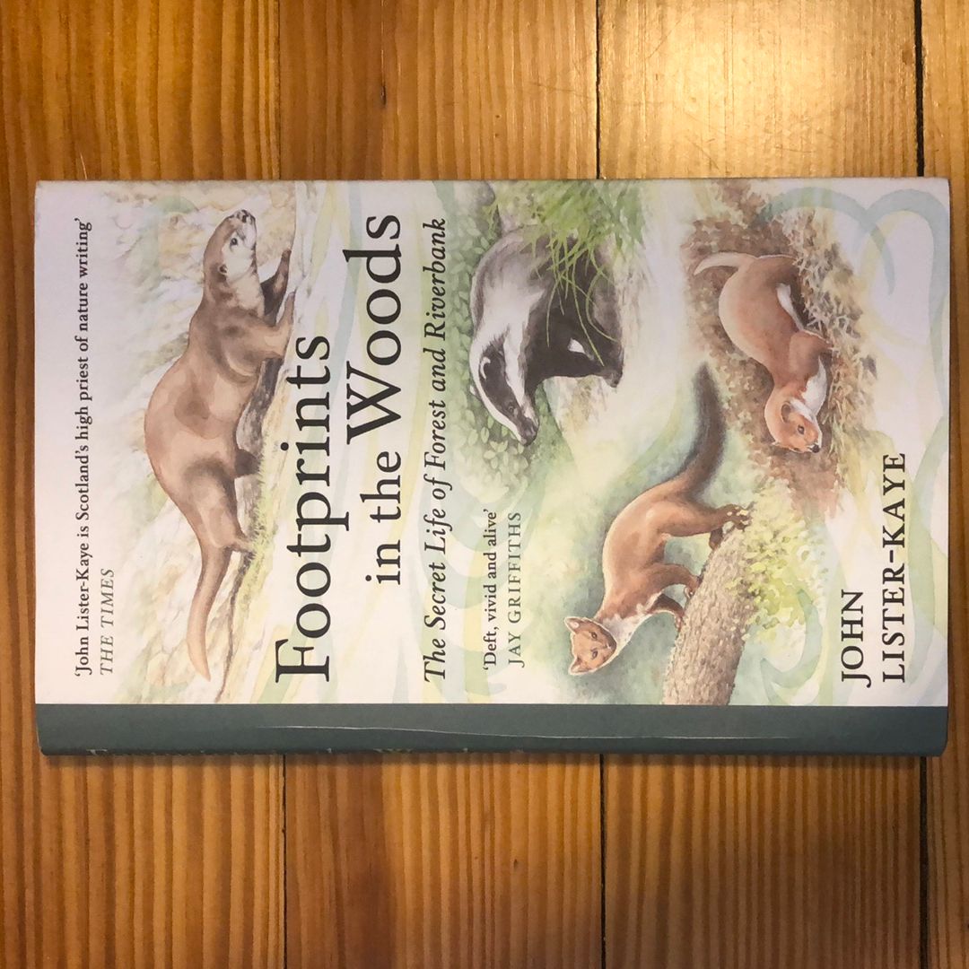 Footprints in the Woods