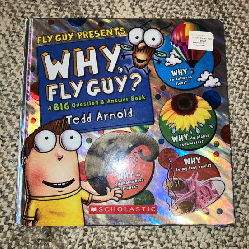 Why, Fly Guy?
