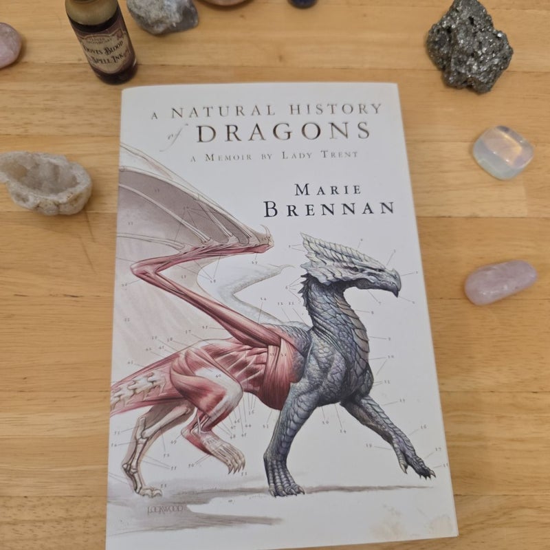 A Natural History of Dragons