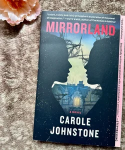 Mirrorland