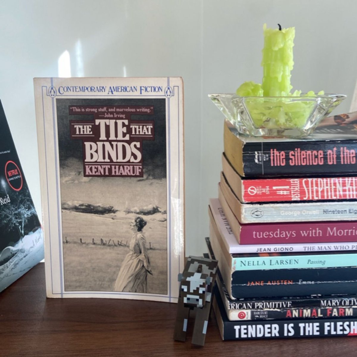 The Tie That Binds by Kent Haruf