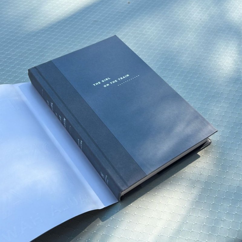 The Girl on the Train