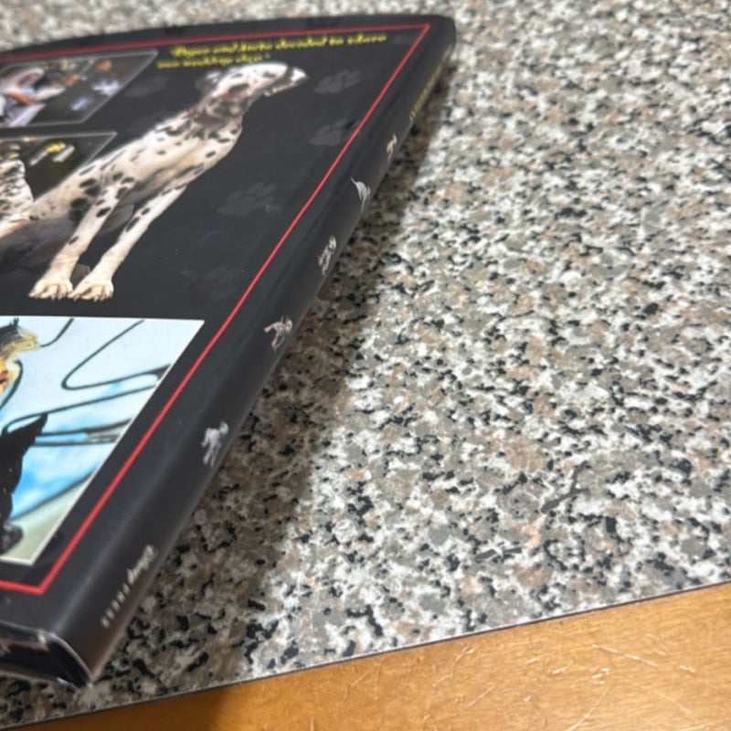 101 Dalmations First Edition