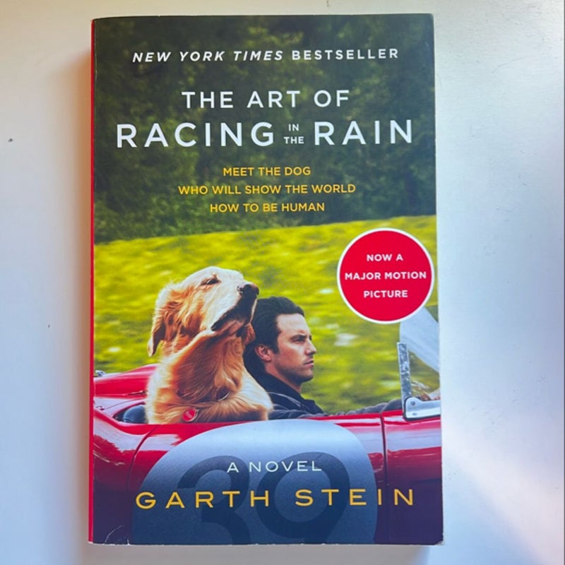 The Art of Racing in the Rain Tie-In