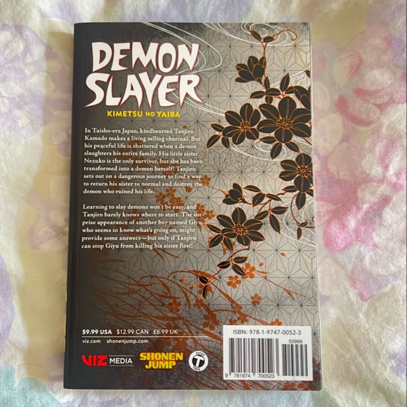 Demon Slayer: Kimetsu No Yaiba, Vol. 1