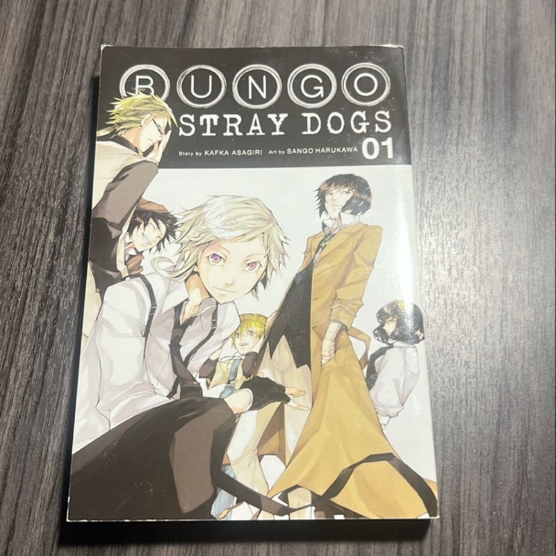 Bungo Stray Dogs, Vol. 1