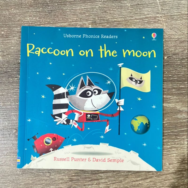 Raccoon on the Moon (mini book)